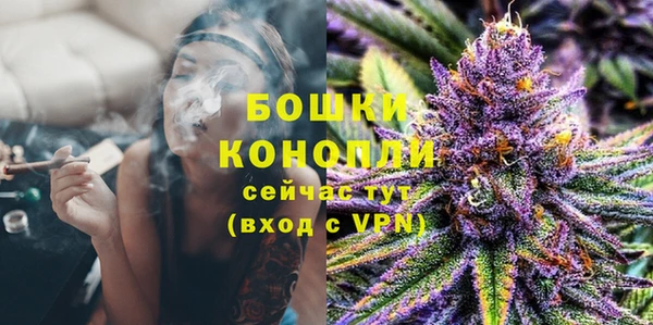 СК Дмитров