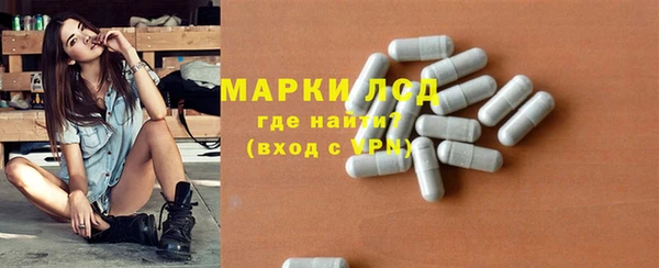 СК Дмитров