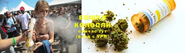 СК Дмитров