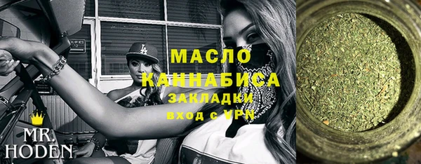 мдпв Дмитриев