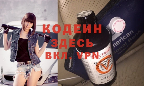 мдпв Дмитриев