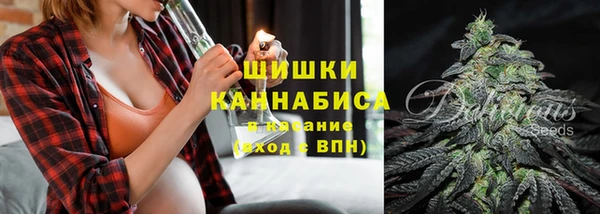 СК Дмитров