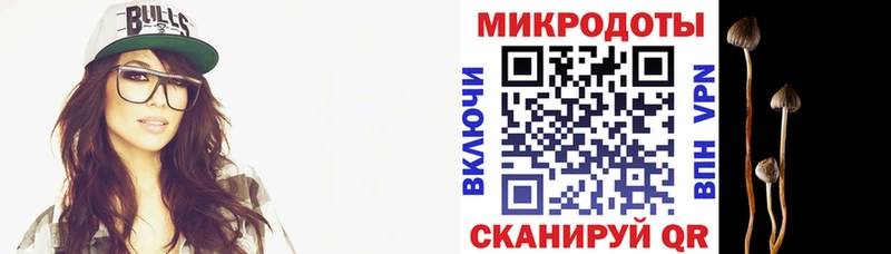 как найти наркотики Саянск ссылка на мегу как войти Галлюциногенные грибы MAGIC MUSHROOMS