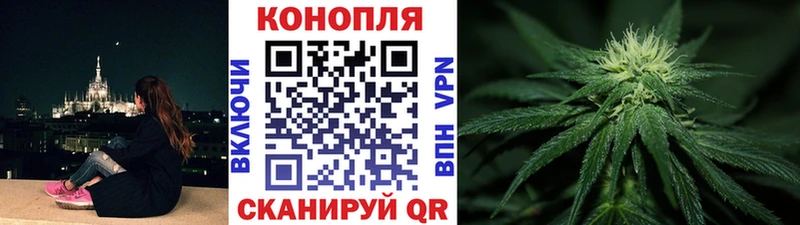 Каннабис индика  Саянск 
